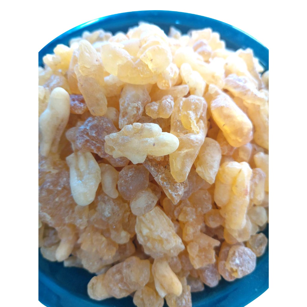 ยางกำยานโอมาน หรือ เรซิ่นกำยานโอมาน  จากต้นกำยานโอมานแท้ ๆ  Boswellia sacra
