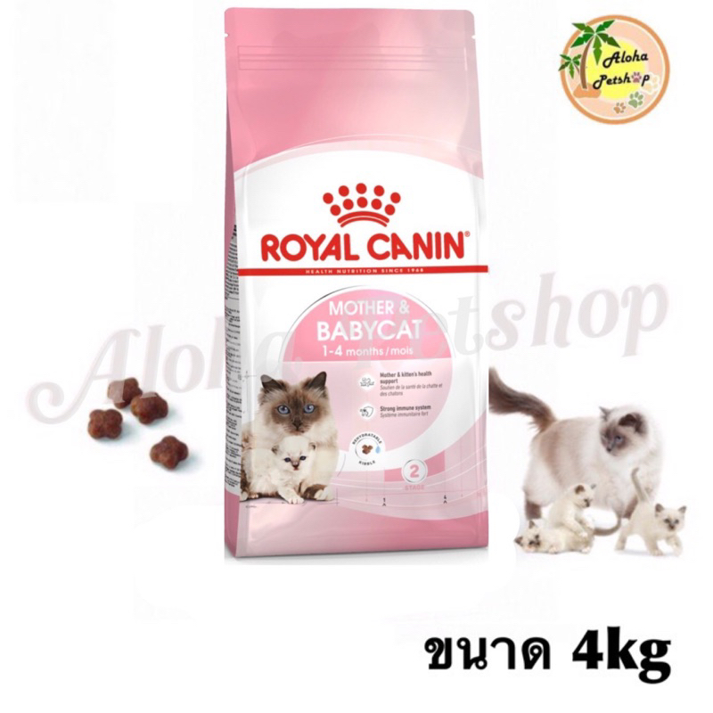 Royal Canin 🐱Babycat สำหรับลูกแมว 1-4เดือน, แม่แมวให้นมลูก, แม่แมวตั้งท้อง ขนาด 4kg