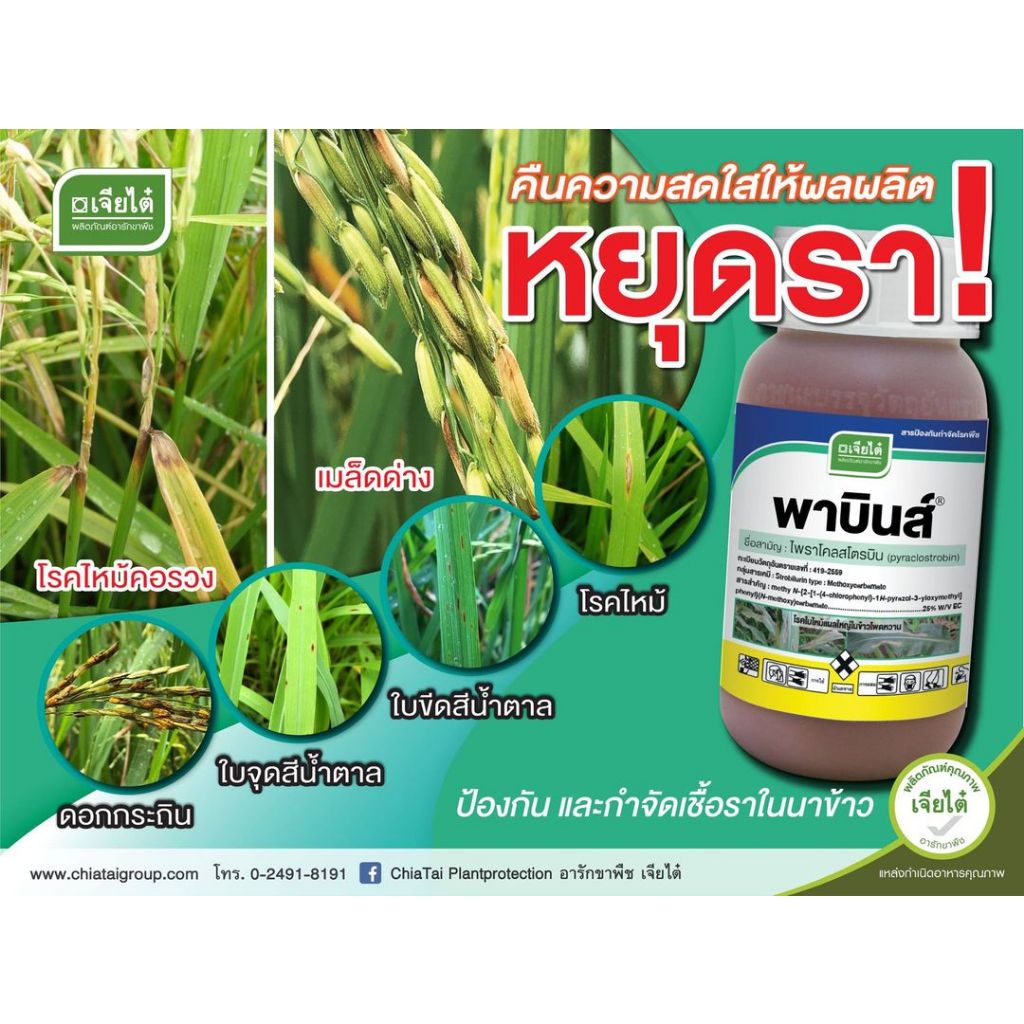 พาบินส์ 250 cc.ป้องกันกำจัดเชื้อรา กุ้งแห้ง ไพราโคลสโตรบิน....25%W/V EC (pyraclostrobin)