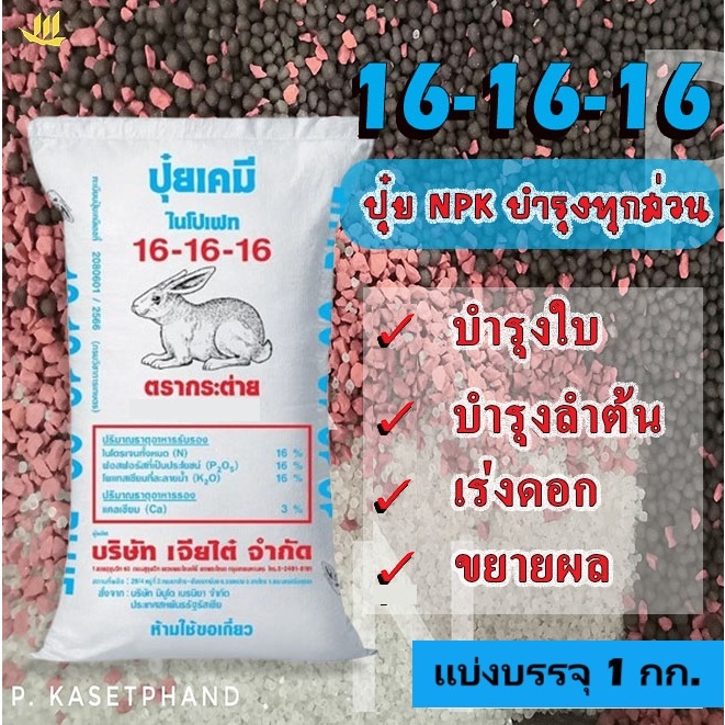 16-16-16​ กระต่าย​(เม็ดฟ้า) แบ่งบรรจุ 1 Kg. ปุ๋ยNPKบำรุงทุกส่วนใบ ลำต้น ​เพิ่มราก​ เร่งดอก เพิ่มหวาน​ ขยายผล +แคลเซียม3%