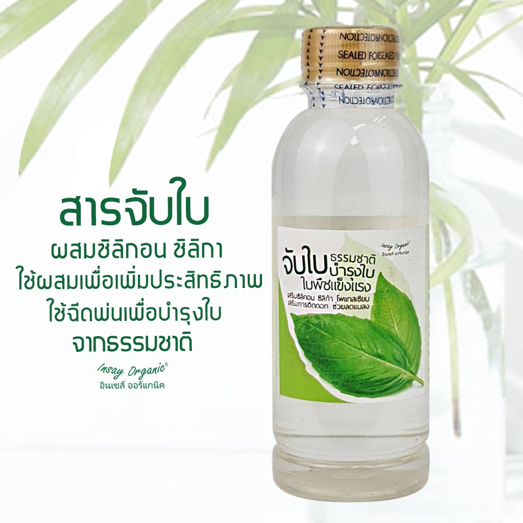 INSAY สารจับใบเพิ่มประสิทธิภาพ การยึดเกาะใบ ดูดซึม  ผสมซิลิคอนซิลิกาช่วยบำรุงใบ ขนาด 250 มล.