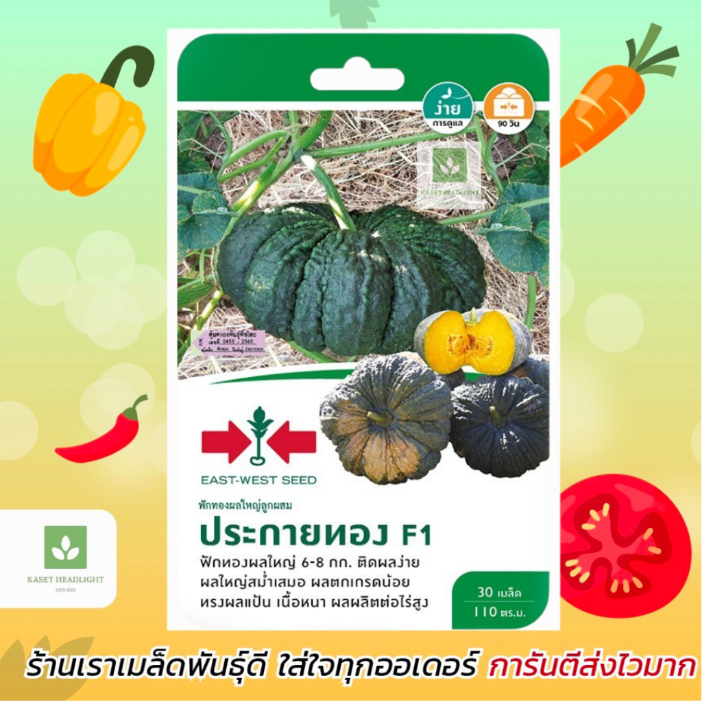 ฟักทองผลใหญ่ ประกายทอง 30เมล็ด ศรแดง