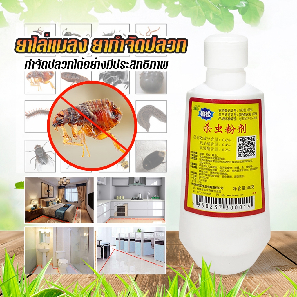 ยากำจัดปลวก ฆ่าปลวกได้อย่างรวดเร็ว น้ำยากำจัดปลวก D42