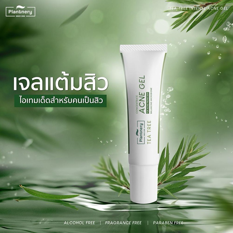 Plantnery Tea Tree Intense Acne Gel 15 g. เจลแต้มสิวสูตรเข้มข้น