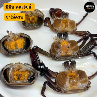 Crabhouse - ปูนาน้ำใสดอง ชายน้อย คละไซร์ น้ำดองสูตรเดียวกับ แบบกระปุก ขาไม่ครบ แต่มันปูยังแน่นทุกตัว