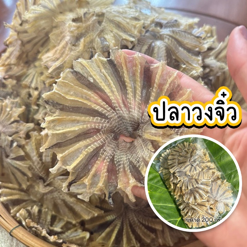 ปลาวงจิ๋ว ปลาจิ๋มรสชาติเค็มน้อย เก็บได้นาน มี 2 ขนาดให้เลือก