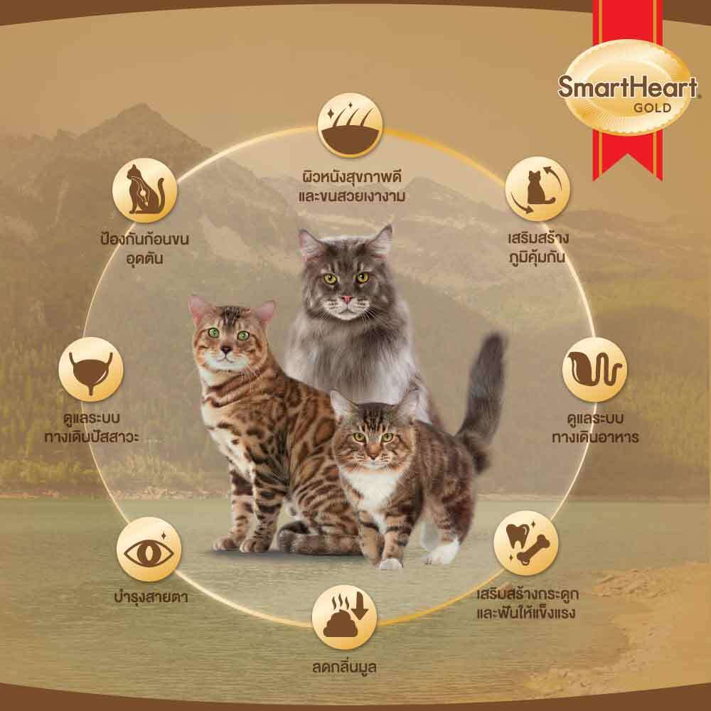 สมาร์ทฮาร์ท โกลด์ อาหารแมว แลมบ์แอนด์บราวน์ไรซ์ (1 กิโลกรัม) - รูปที่ 5