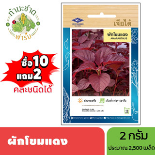 เจียไต๋ (ซื้อ10แถม2) เมล็ดพันธุ์ ผักโขมแดง ขนาด2กรัม ประมาณ2…