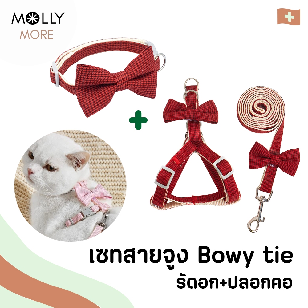 MOLLY เซทสายจูงสัตว์เลี้ยง Bowy tie เซทจูงโบว์หูกระต่าย สายจูงแมว สายจูงสุนัข ปลอกคอแมว สุนัข หมา ปล