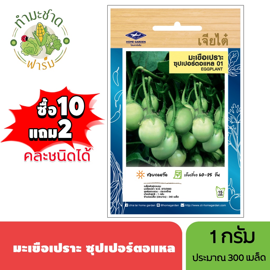 เจียไต๋ (ซื้อ10แถม2) เมล็ดพันธุ์ มะเขือเปราะซุปเปอร์ตอแหล ขนาด1กรัม ประมาณ340เมล็ด Eggplant มะเขือเปราะ เมล็ดพันธุ์พืช
