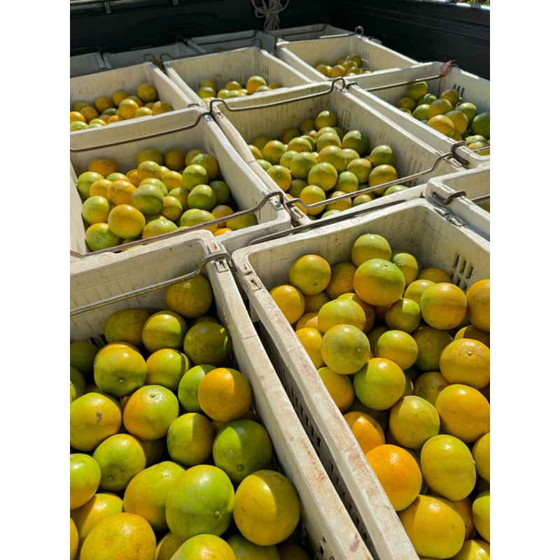 รูปภาพ 7