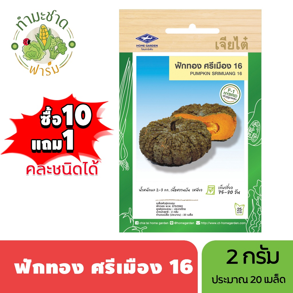 เจียไต๋ (ซื้อ10แถม1) เมล็ดพันธุ์ ฟักทอง ศรีเมือง ขนาด2กรัม ประมาณ20เมล็ด Pumpkin ฟักทอง เมล็ดพันธุ์พืช เมล็ดผัก ปลูกผักส