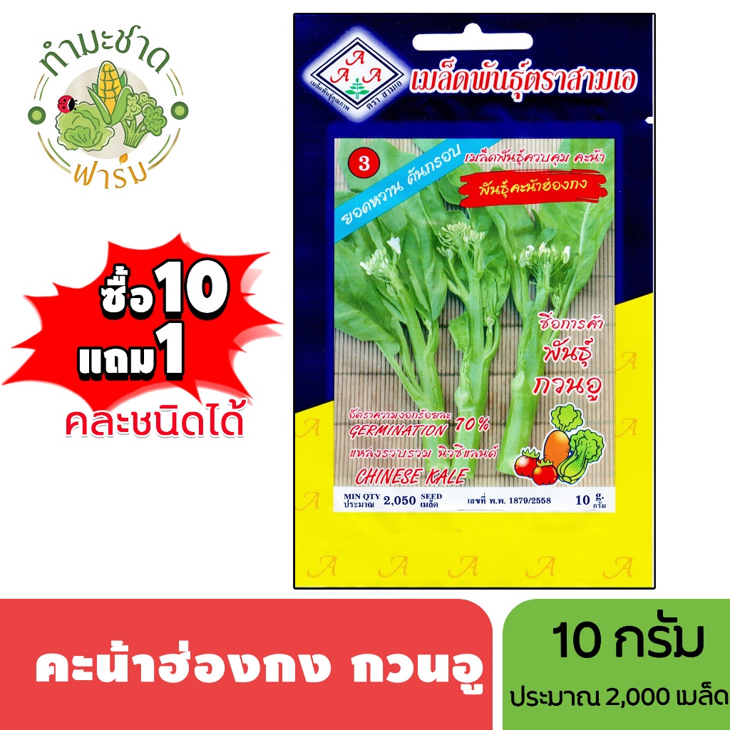 3A (ซื้อ10แถม1) เมล็ดพันธุ์ คะน้าฮ่องกง กวนอู ขนาด 10 กรัม ประมาณ 2,050 เมล็ด HONG KONG KALE GUAN YU คะน้า เมล็ดพันธุ์