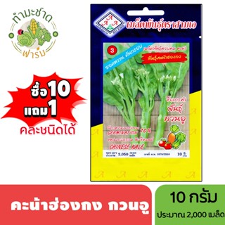 3A (ซื้อ10แถม1) เมล็ดพันธุ์ คะน้าฮ่องกง กวนอู ขนาด 10 กรัม ป…