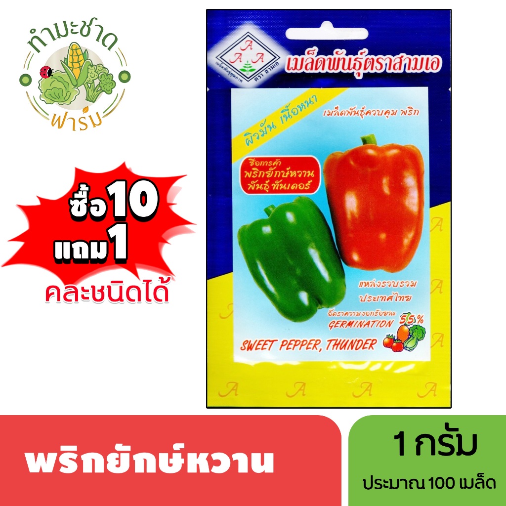 3A (ซื้อ10แถม1) เมล็ดพันธุ์ พริกยักษ์หวาน ขนาด1กรัม ประมาณ140เมล็ด SWEET PEPPER พริกหวาน พันธุ์ทันเดอร์ พริกหยวก เมล็ด