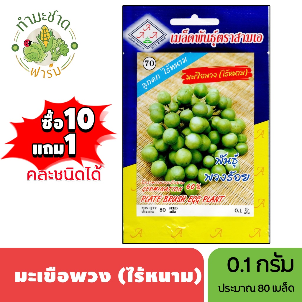 3A (ซื้อ10แถม1) เมล็ดพันธุ์ มะเขือพวงไร้หนาม ขนาด0.1กรัม ประมาณ80เมล็ด PLATE BRUSH EGG PLANT มะเขือพวง  เมล็ดพันธุ์พืช