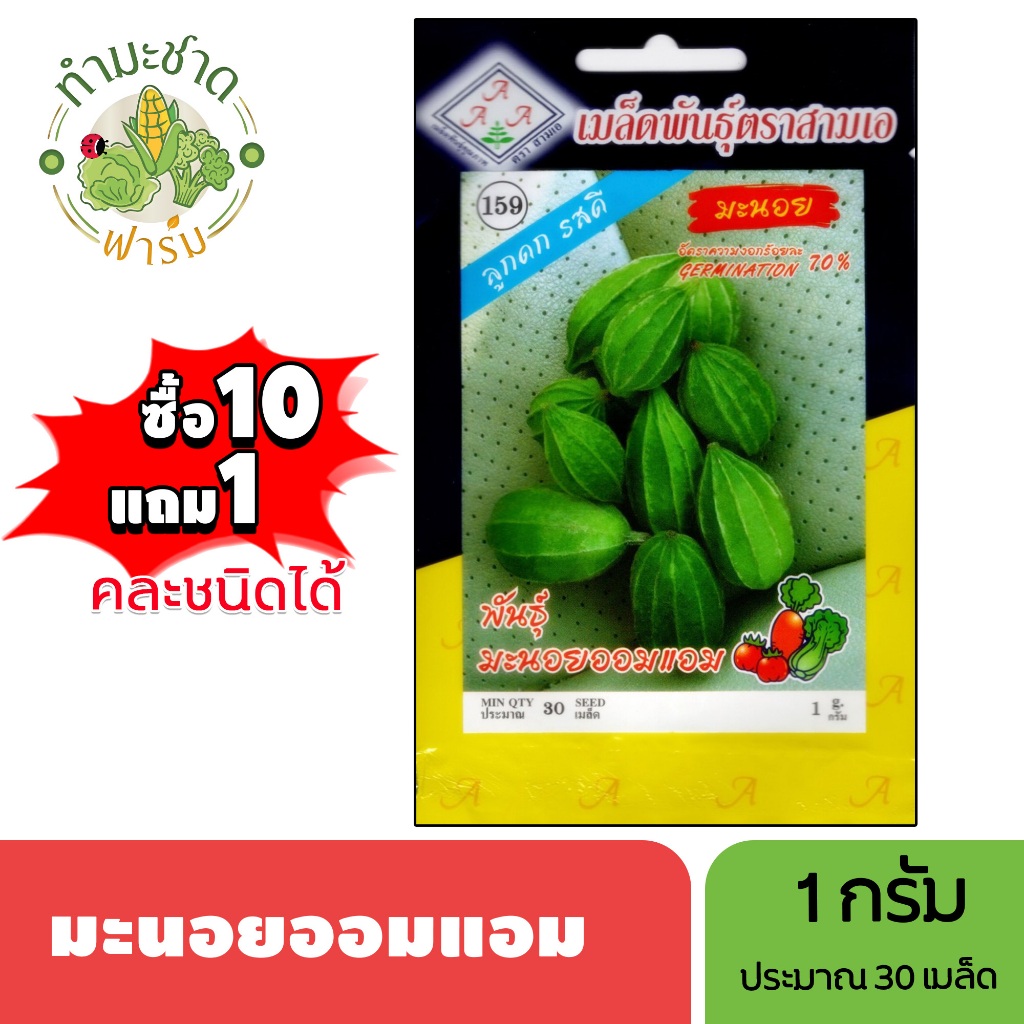 3A (ซื้อ10แถม1) เมล็ดพันธุ์ มะนอย ออมแอม ขนาด 1 กรัม ประมาณ 30 เมล็ด MANOI AOM-AM บวบ มะนอยขม บวบกลม เมล็ดพันธุ์พืช