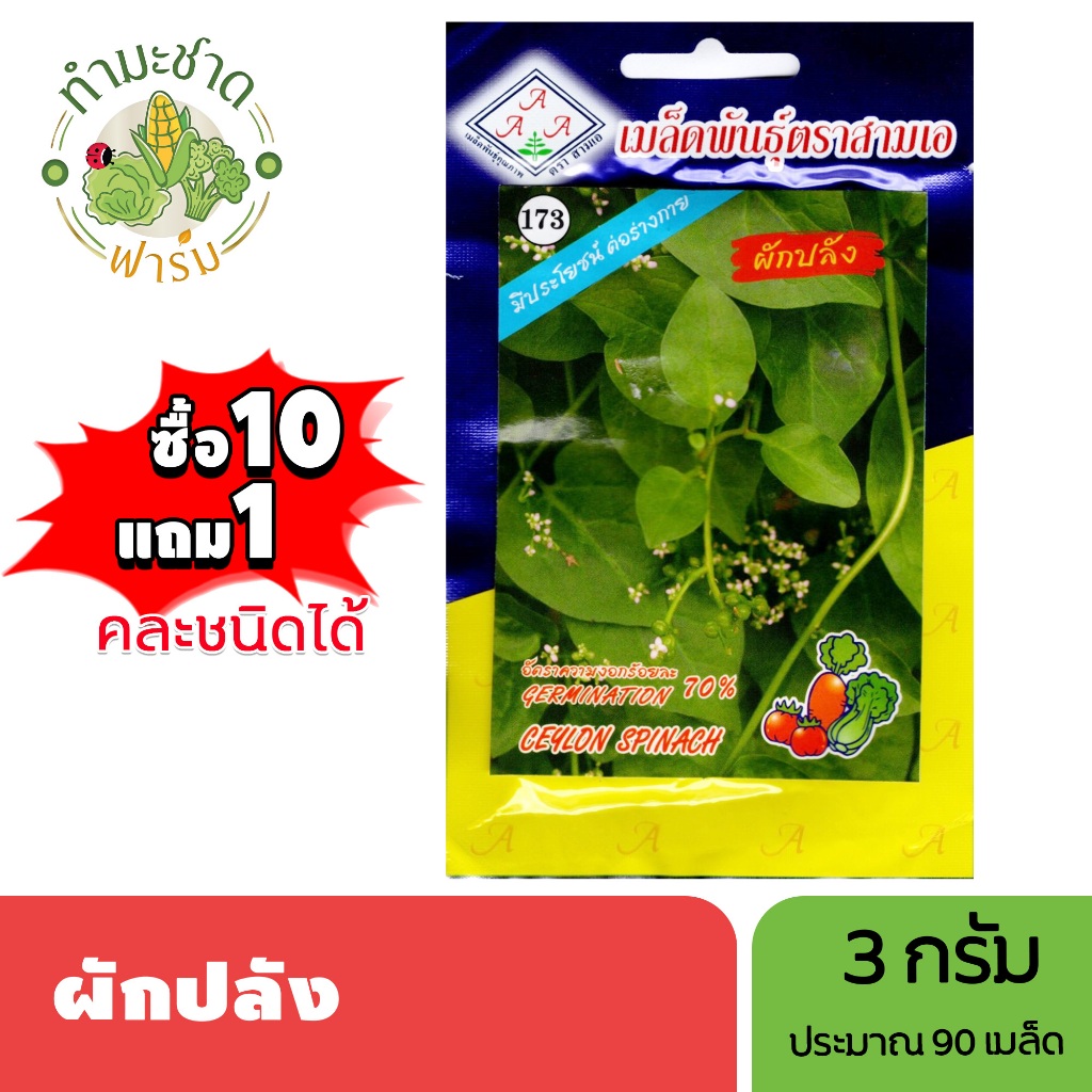 3A (ซื้อ10แถม1) เมล็ดพันธุ์ ผักปลัง ขนาด3กรัม ประมาณ90เมล็ด CEYLON SPINACH ผักปลัง ผักปั่ง เมล็ดพันธุ์พืช เมล็ดผัก