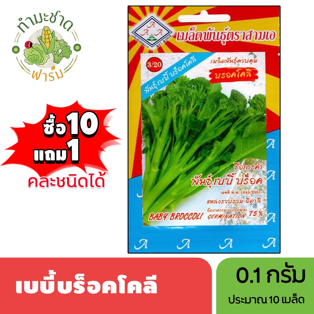 3A (ซื้อ10แถม1) เมล็ดพันธุ์ เบบี้บร็อคโคลี่ ขนาด0.1กรัม ประมาณ10เมล็ด BABY BROCCOLI บร๊อคโคโลนี่ บลอคโคลี่ เบบี้บลอคโคลี