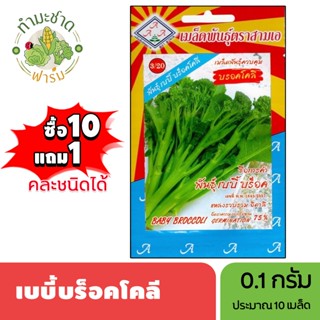 3A (ซื้อ10แถม1) เมล็ดพันธุ์ เบบี้บร็อคโคลี่ ขนาด0.1กรัม ประม…