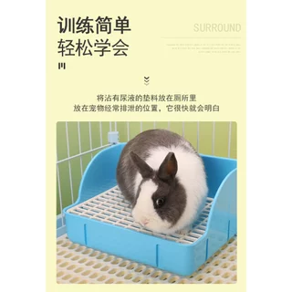 ERORO ห้องน้ำกระต่าย ขนาดใหญ่ RABBIT BATHROOM ทรงสีเหลี่ยม แบบเข้ามุม