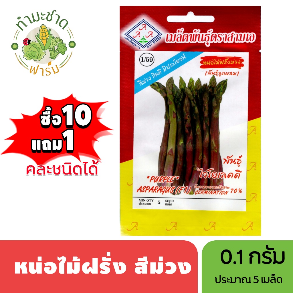 3A (ซื้อ10แถม1) เมล็ดพันธุ์ หน่อไม้ฝรั่งสีม่วง ขนาด0.1กรัม ประมาณ5เมล็ด ASPARAYUS หน่อไม้ฝรั่ง เมล็ดพันธุ์พืช เมล็ดผัก