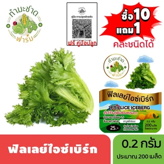 ทำมะชาดฟาร์ม (ซื้อ10แถม1) เมล็ดพันธุ์ ฟิลเลย์ไอซ์เบิร์ก ขนาด0.2กรัม ประมาณ200เมล็ด FRILLICE ICEBERG ฟินเล่ ฟิลเลย์
