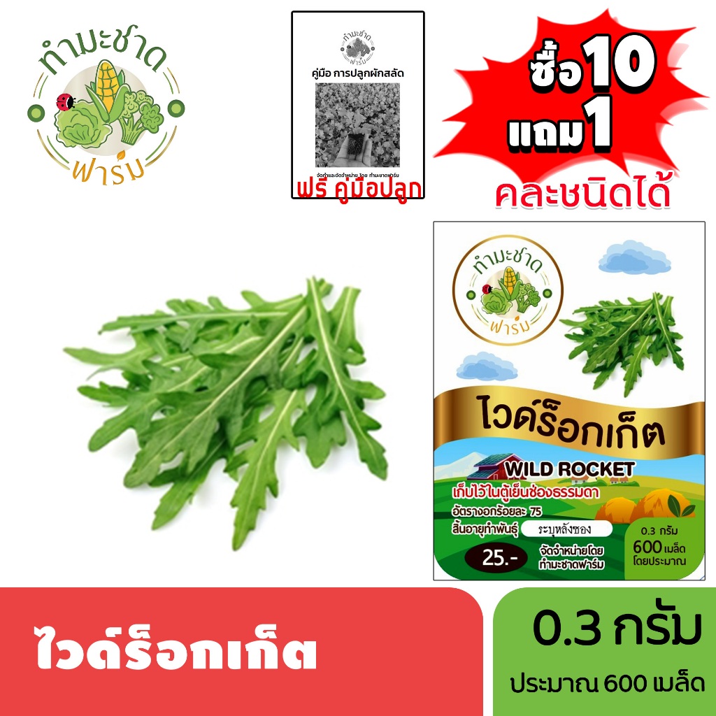 ทำมะชาดฟาร์ม (ซื้อ10แถม1) เมล็ดพันธุ์ ไวด์ร็อกเก็ต ขนาด0.3กรัม ประมาณ600เมล็ด WILD ROCKET ผักสลัด เมล็ดพันธุ์พืช เมล็ด