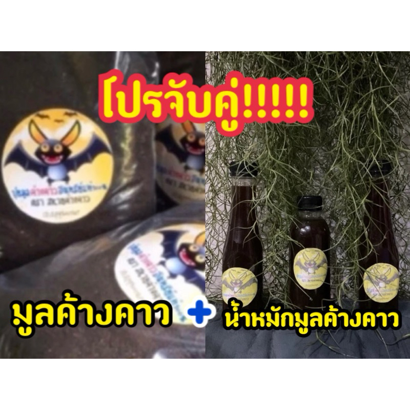 โปรจับคู่!!มูลค้างคาว+น้ำหมัก