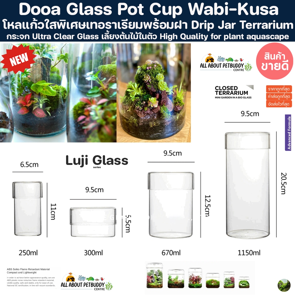 Dooa Glass Pot Cup Wabi-Kusa โหลแก้ว Terrarium โหลจัดสวนขวด โหลเทอราเรียม โหลปลูกต้นไม้ โหลอบต้นไม้ 