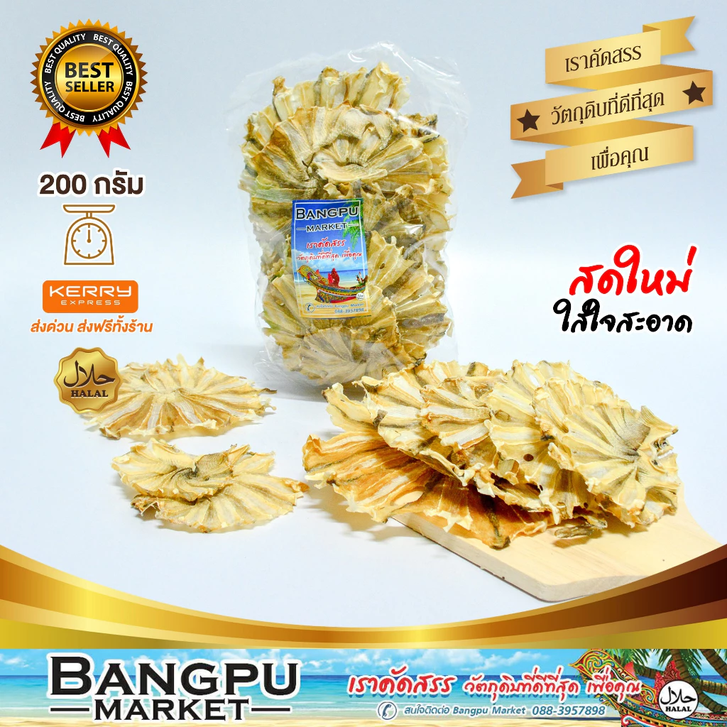 รวมมิตร ปลาทะเลแปรรูป ตากแห้ง ปลากะตัก ปลาข้าวสาร ปลาซิวแก้ว ปลาเกล็ดข้าว ปลาหลังเขียว ปลากระเบนวงปลาแมว Tuyo Dried fish thumbnail 6