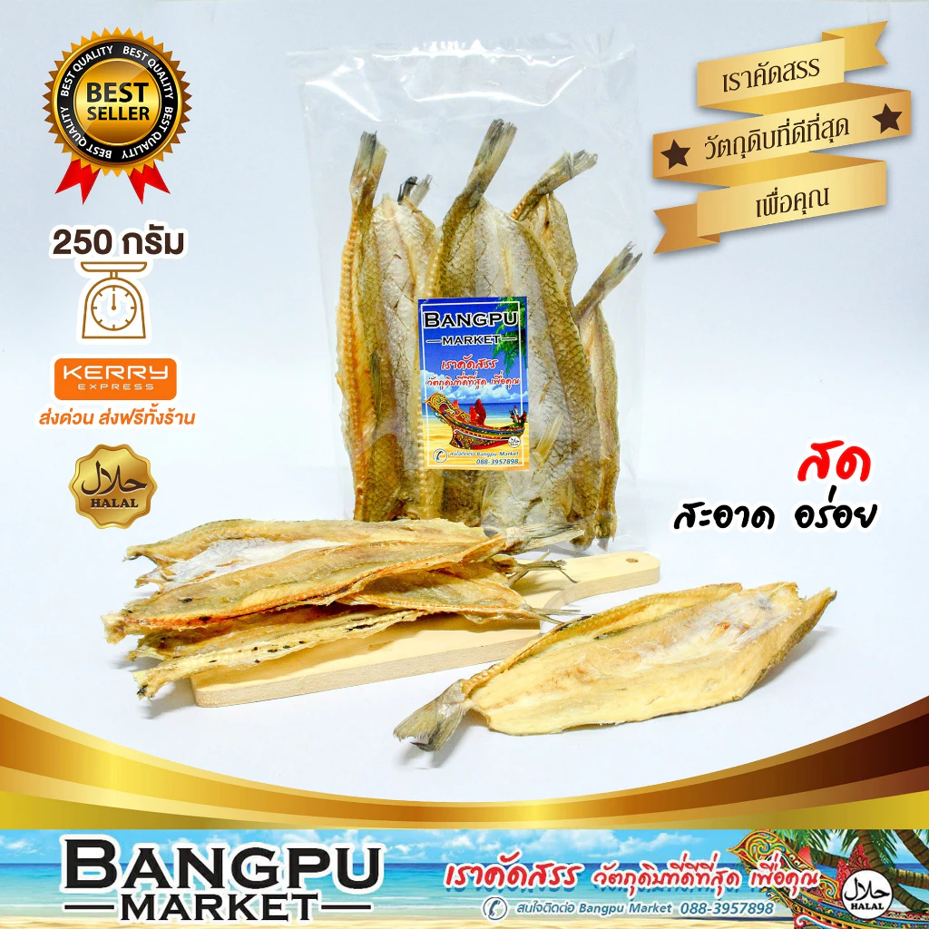 รวมมิตร ปลาทะเลแปรรูป ตากแห้ง ปลากะตัก ปลาข้าวสาร ปลาซิวแก้ว ปลาเกล็ดข้าว ปลาหลังเขียว ปลากระเบนวงปลาแมว Tuyo Dried fish thumbnail 8
