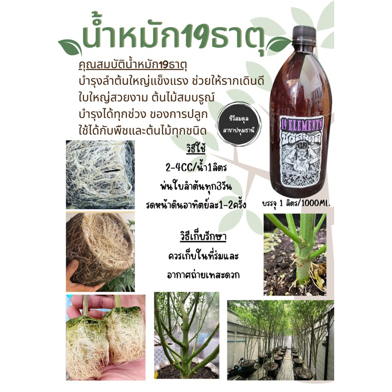 น้ำหมักชีวภาพ 19 ธาตุ ชีวีสมดุล บำรุงต้นเร่งราก