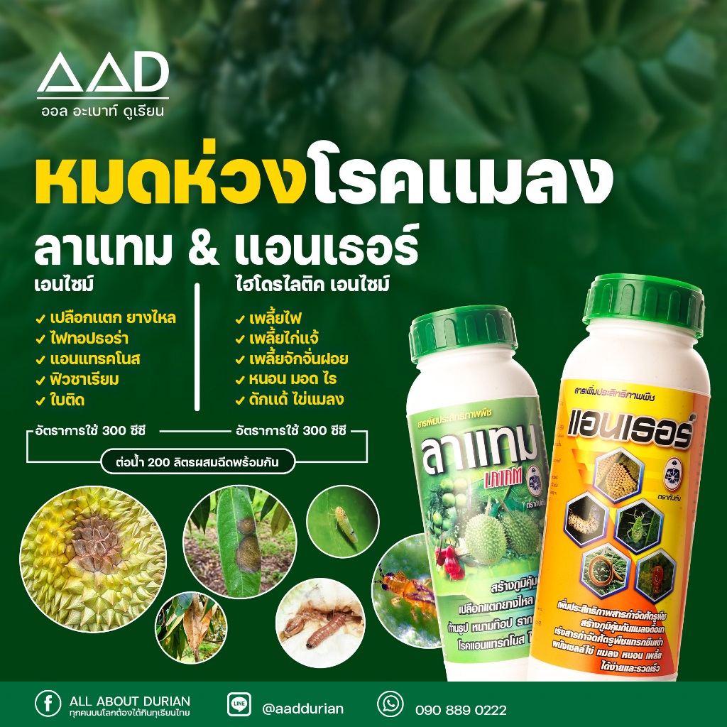 ลาแทมแอนเธอร์ ตรากัปตัน ขนาด 1 ลิตร คู่หู กำจัดทุกโรค ทำลายทุกแมลง