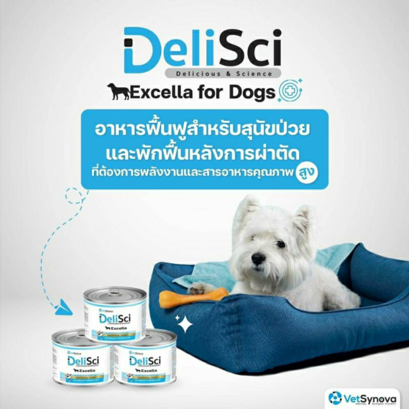 Vetsynova DeliSci Excella dog ขนาด 185 g และ Cat 80g อาหารสำหรับสัตว์ป่วย หลังผ่าตัดหรือกำลังพักฟื้น ให้พลังงานสูง