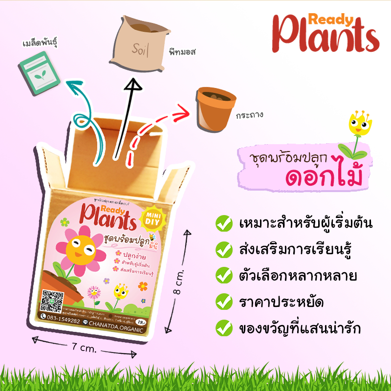 Ready Plants™ MINI ชุดที่ 3 ชุดพร้อมปลูกดอกไม้ ปลูกง่าย เหมาะสำหรับผู้เริ่มต้น