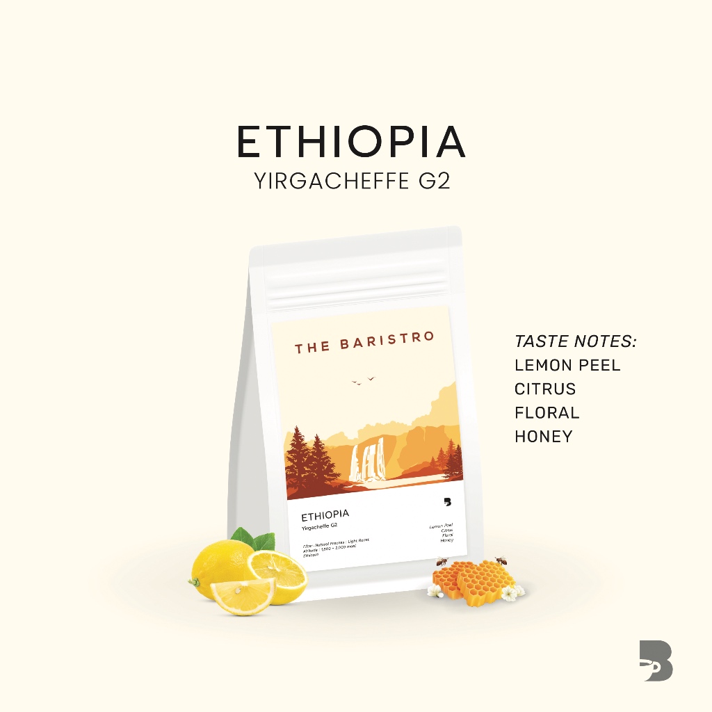 เมล็ดกาแฟ คั่วอ่อน - Ethiopia Yirgacheffe G2 Natural