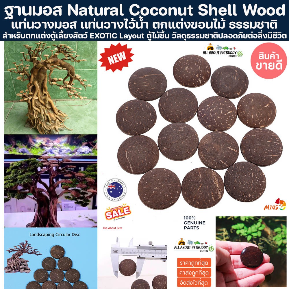 Natural Coconut Shell Wood ฐานวางมอส ตู้ไม้น้ำ Layout วัสดุธรรมชาติ ตกแต่งตู้ปลา จัดโครงไม้ Moss ปลาสวยงาม ตู้ปลา ไม้