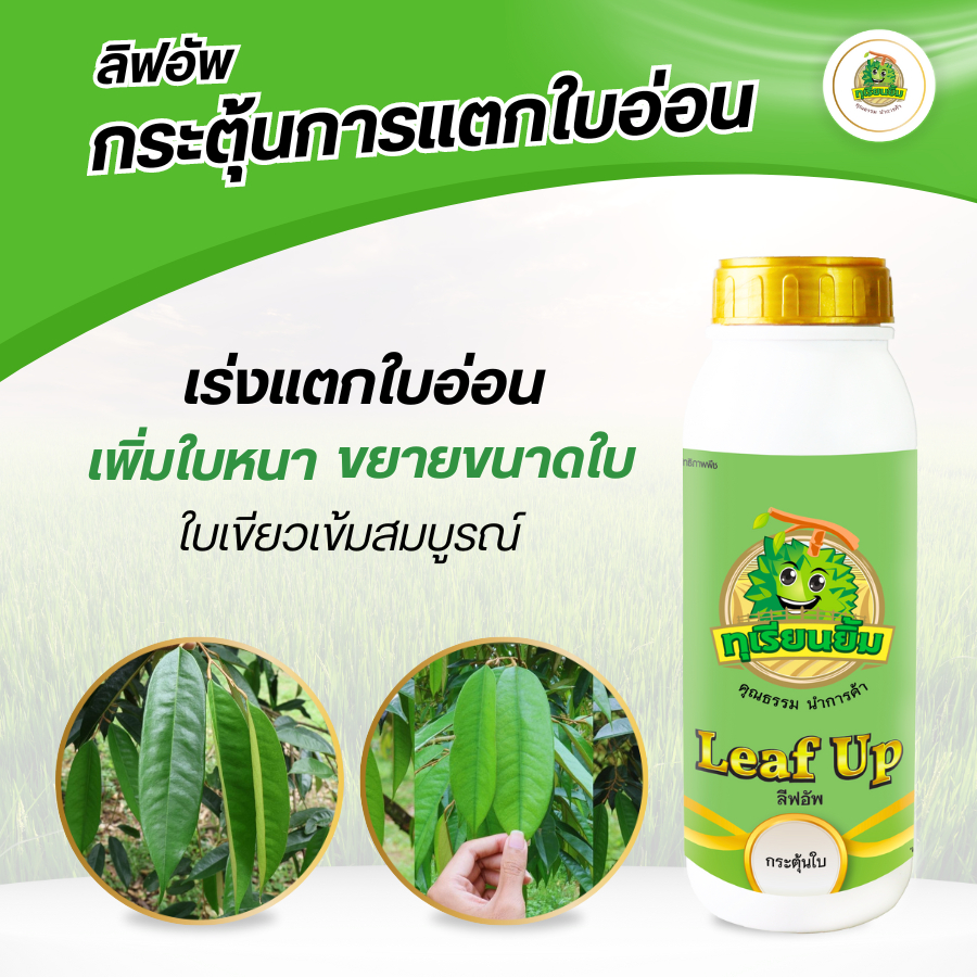 ลีฟอัพ LEAF UP ทุเรียนยิ้ม เร่งแตกใบอ่อน เพิ่มใบหนา