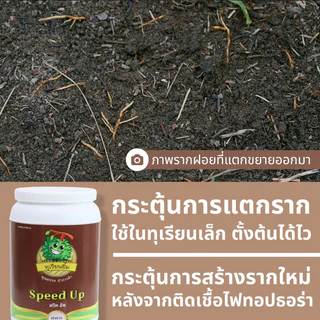 𝗦𝗽𝗲𝗲𝗱 𝗨𝗽 ( สปีด อัพ ) กระตุ้นราก สร้างรากใหม่ พืชโตได้ในสภาวะวิกฤติ หนักแค่ไหน เอาอยู่