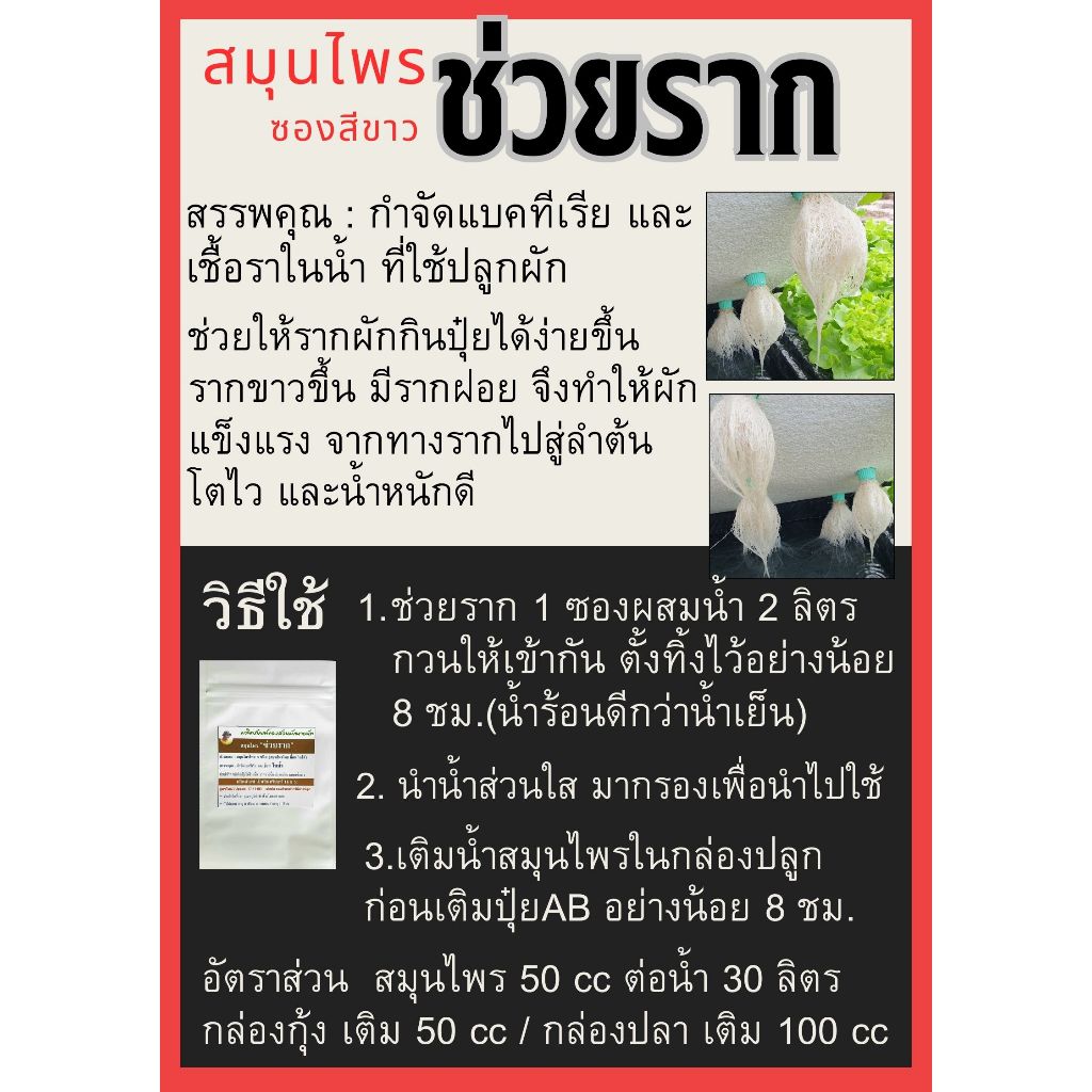 สมุนไพร ช่วยราก (ซองสีขาว)