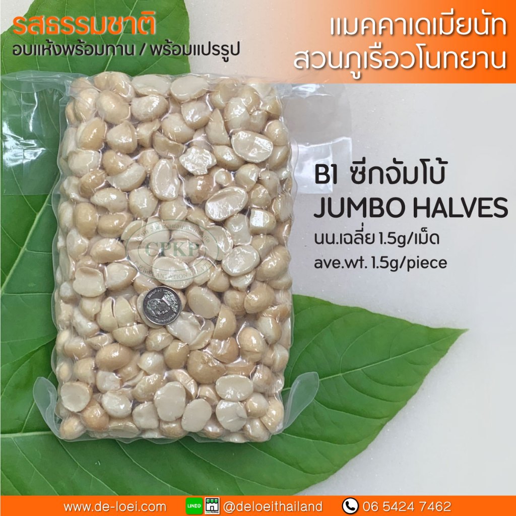 แมคคาเดเมีย อบพร้อมทาน ครึ่งซีกจัมโบ้ Macadamia nuts