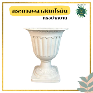 กระถางโรมัน ทรงปากบาน สีขาว สวยหรู ทรงสูง กระถางพลาสติกอย่างหนา เกรด AAA รูปทรงสวยงาม น้ำหนักเบา เคลื่อนย้ายสะดวก ไม่หน