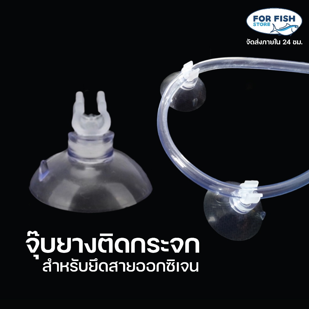 จุ๊บยางติดกระจกตู้ปลา สำหรับยึดสาย Co2 จุ๊บยางเก็บสายออกซิเจน ยึดเกาะกระจกแน่น จับสายแน่นกระชับ ไม่หลุดง่าย