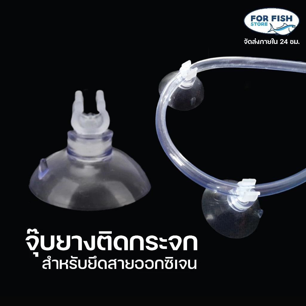 จุ๊บยางติดกระจกตู้ปลา สำหรับยึดสาย Co2 จุ๊บยางเก็บสายออกซิเจน ยึดเกาะกระจกแน่น จับสายแน่นกระชับ ไม่หลุดง่าย