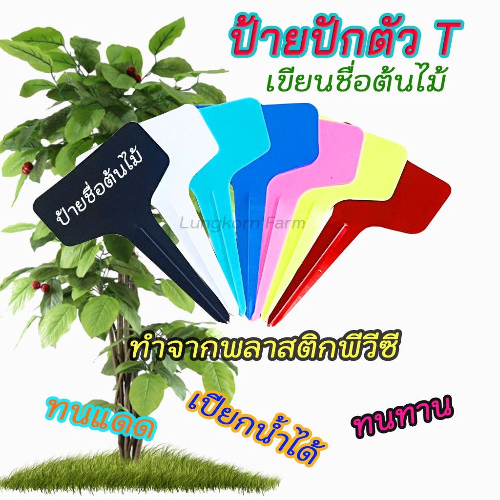 ป้าย Tag ติดชื่อต้นไม้แบบตัวที(T) ขนาด 3x6x9 ซม. แพ็ค 50 แผ่น และ 100 แผ่น
