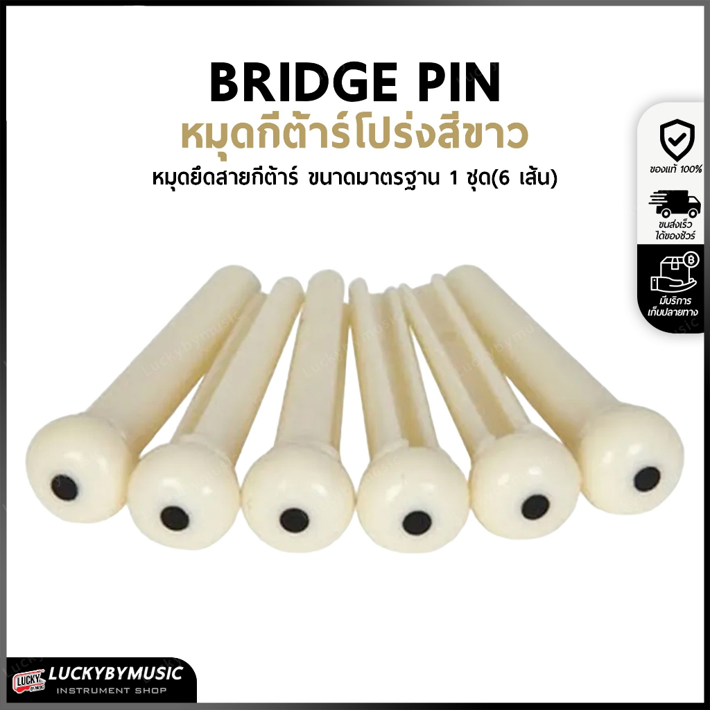 [พร้อมส่ง-📸] หมุดกีต้าร์โปร่ง หมุดยึดสายกีต้าร์ Bridge Pin สีขาว (1 ชุด มี 6 ชิ้น) ใช้ได้กับกีต้าร์โปร่ง