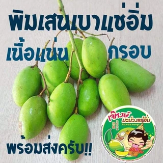 เจ๊หงษ์ มะม่วงพิมเสนเบาดองเกลือปอกเปลือก ถุงละ 450 กรัม
