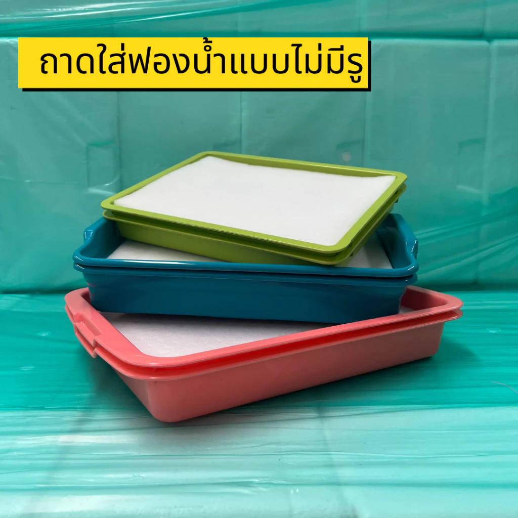 ถาดใส่ฟองน้ำเพาะเมล็ดแบบไม่มีรู