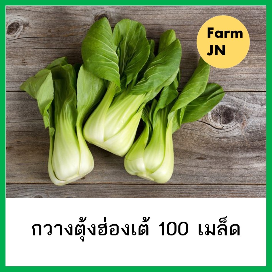 เมล็ดผักกวางตุ้งฮ่องเต้ เมล็ดผักสวนครัว เมล็ดผัก5บาท
